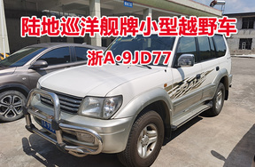 序号30:陆地巡洋舰牌小型越野车浙A9JD77