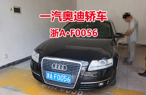序号36:一汽奥迪轿车浙AF0056