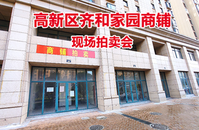 高新区齐和家园商铺共18套（现场拍卖）
